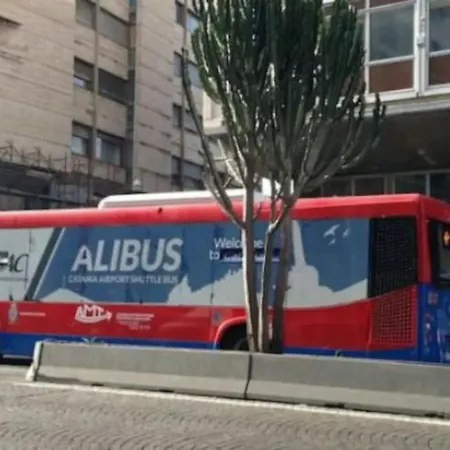 Sunny & Cozy Centro Storico 公寓