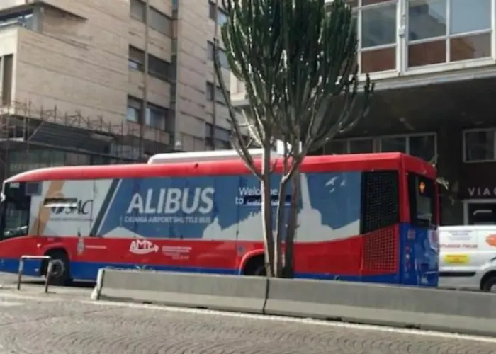 Sunny & Cozy Centro Storico 公寓